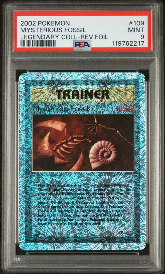 Mysterious Fossil