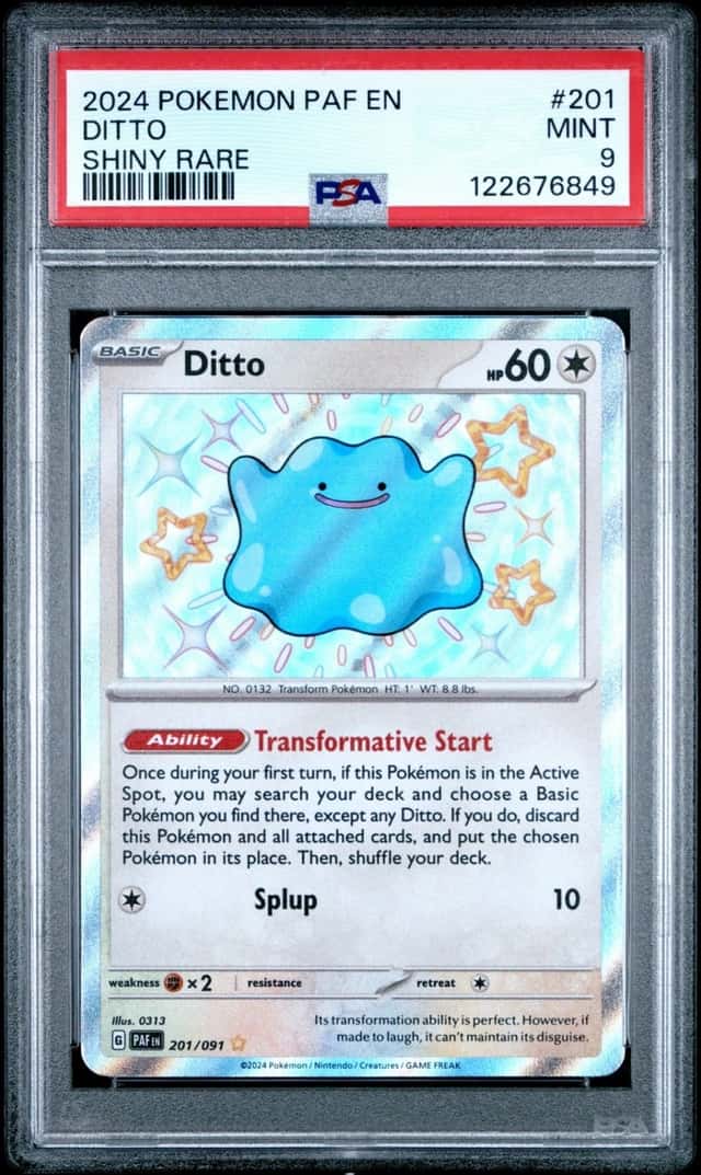 Ditto