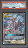 Mewtwo & Mew Gx
