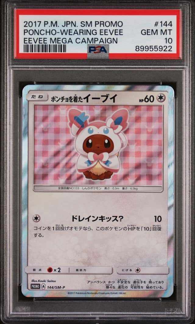 Poncho-Wearing Eevee