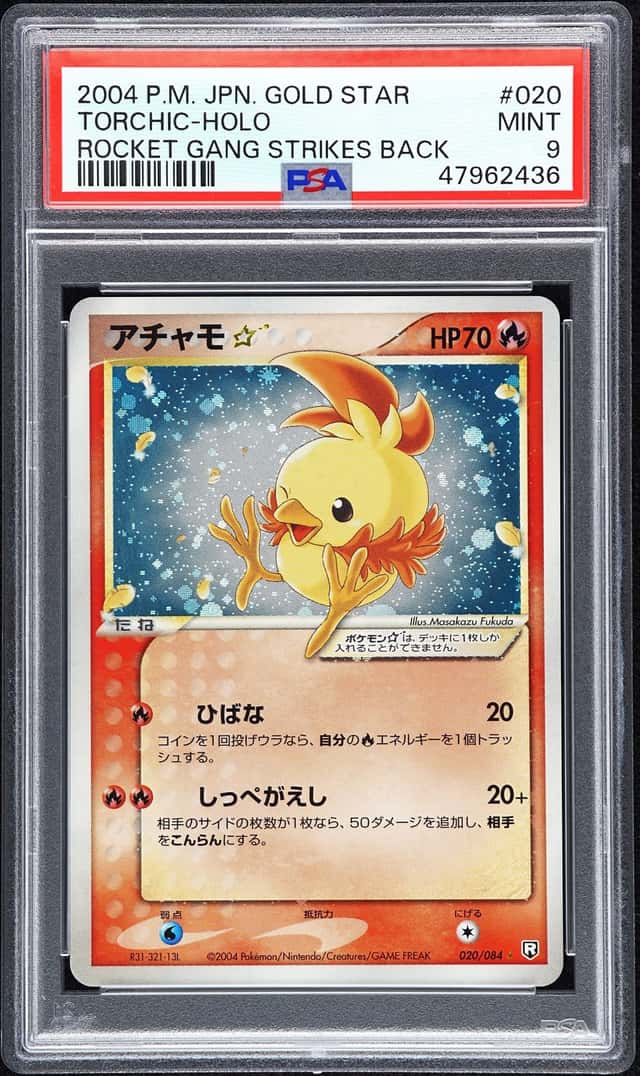 Torchic
