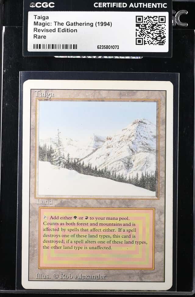 Taiga
