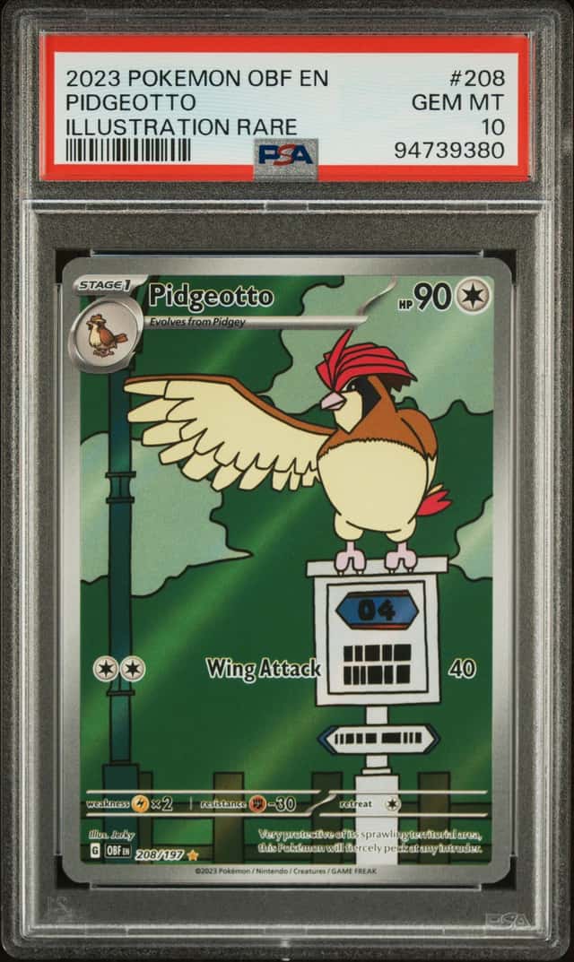 Pidgeotto