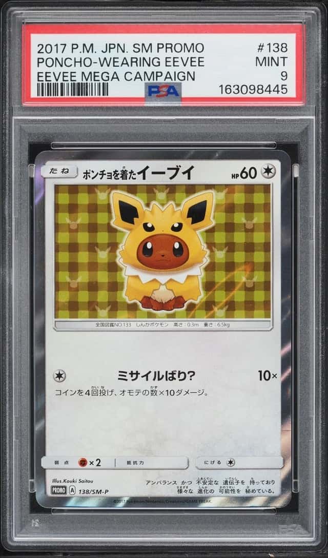 Poncho-wearing Eevee