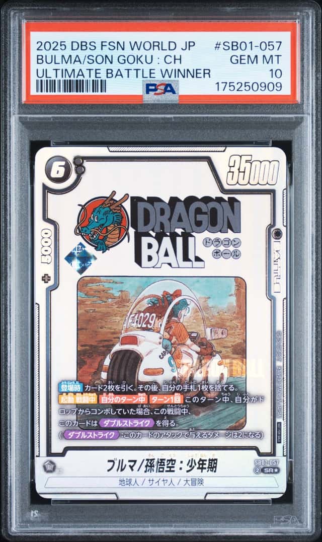 Bulma/Son Goku : Ch