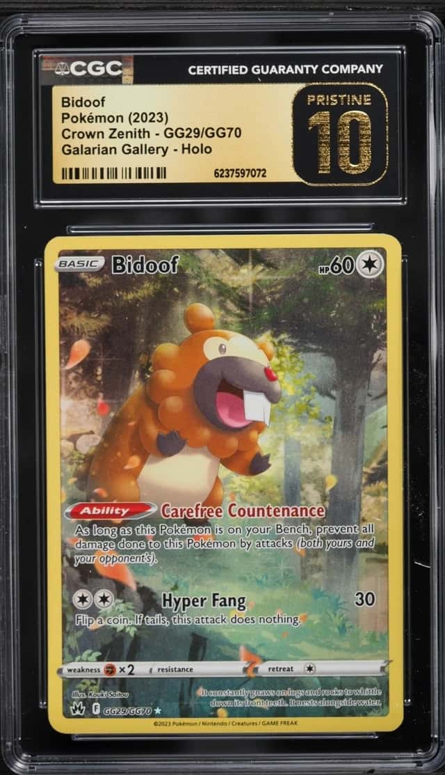 Bidoof