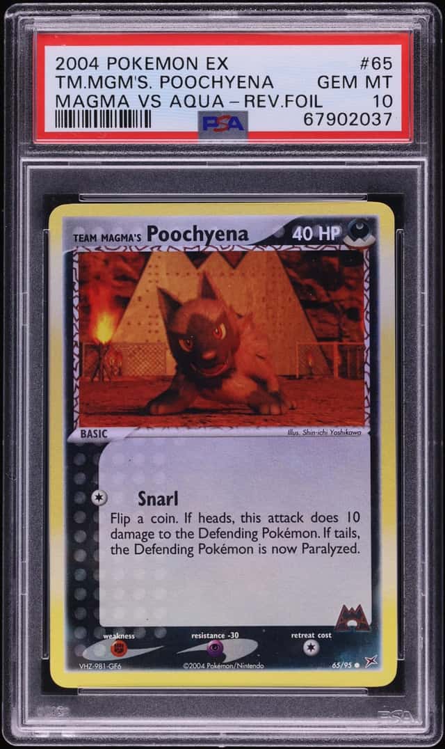 Team Magma's Poochyena