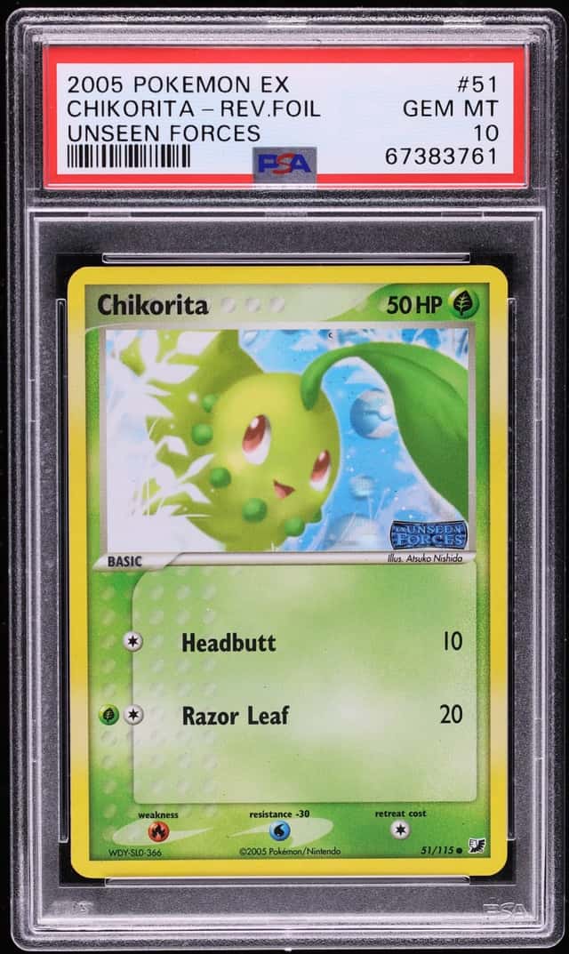 Chikorita