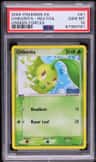 Chikorita