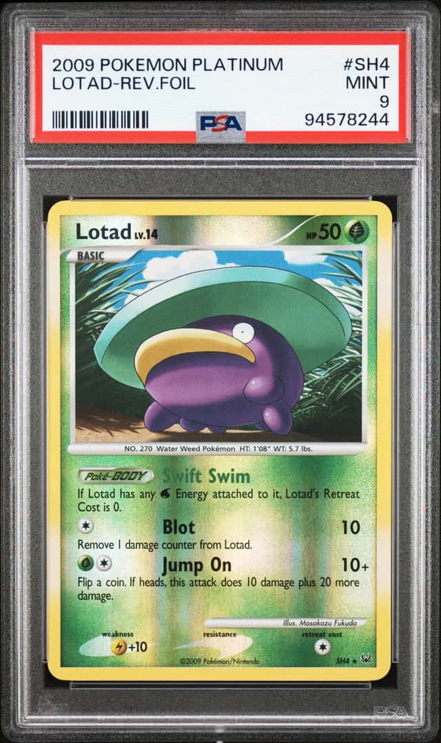 Lotad