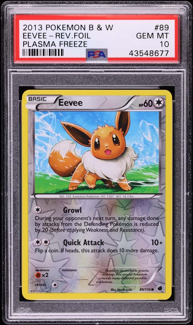 Eevee