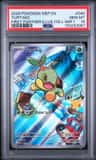 Turtwig