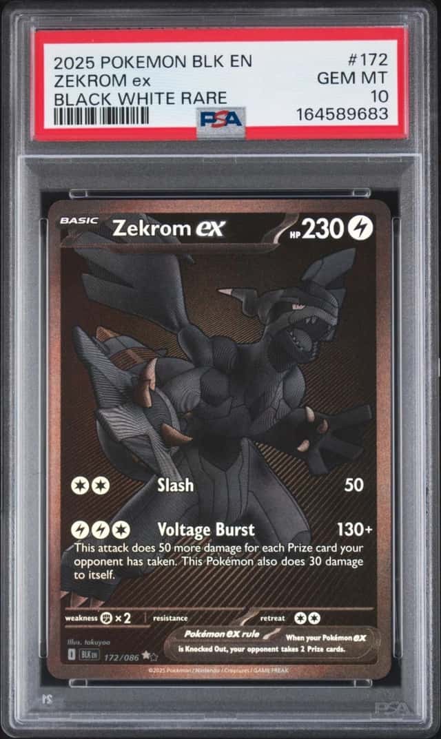 ZEKROM ex