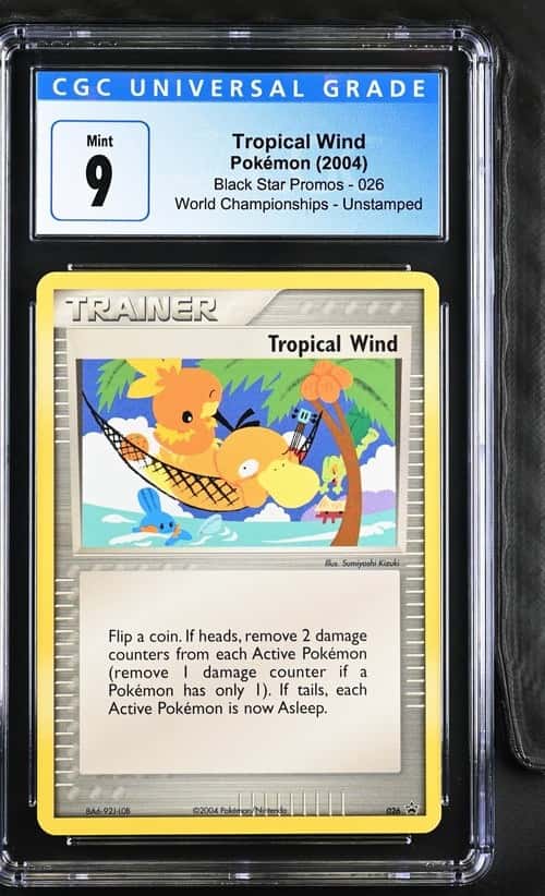 Tropical Wind