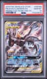 Pikachu & Zekrom Gx