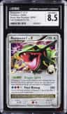 Rayquaza C Lv X