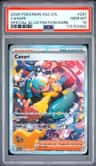 Canari