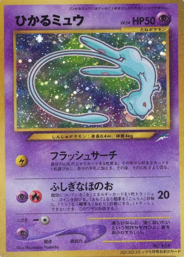 Holo