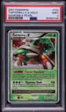 Torterra Lv X