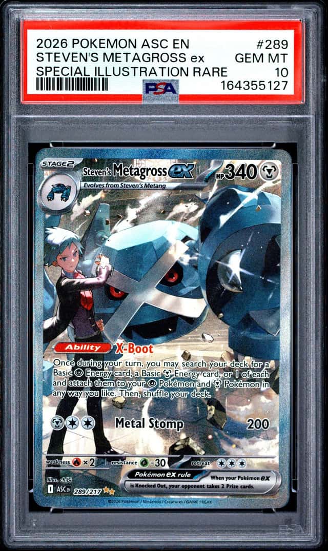 STEVEN'S METAGROSS ex