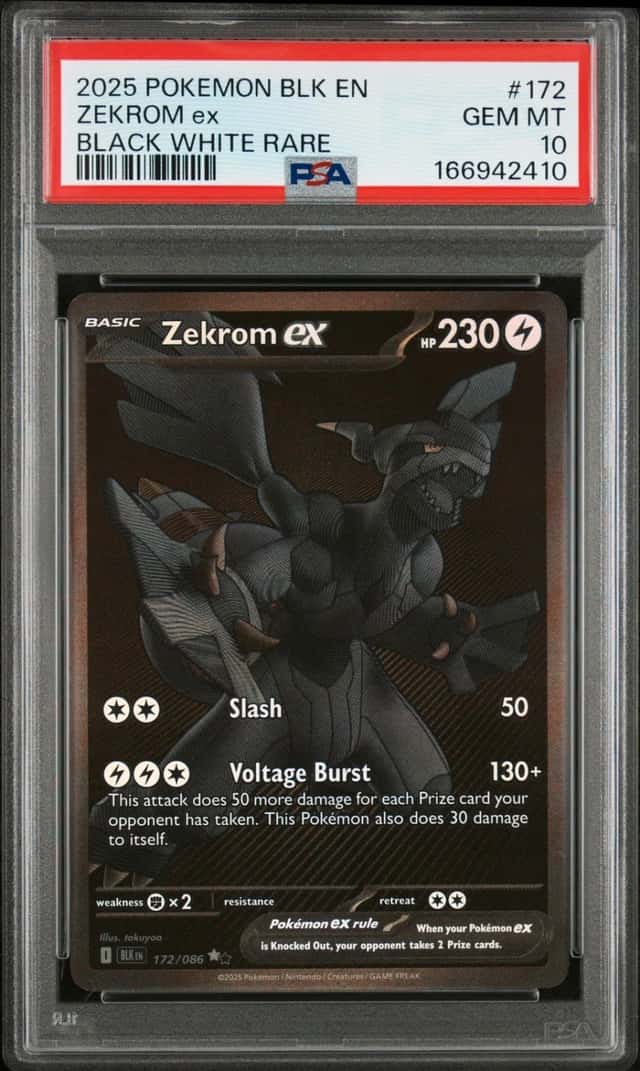 ZEKROM ex