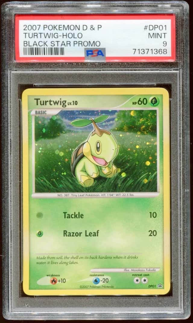 Turtwig