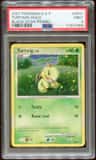 Turtwig