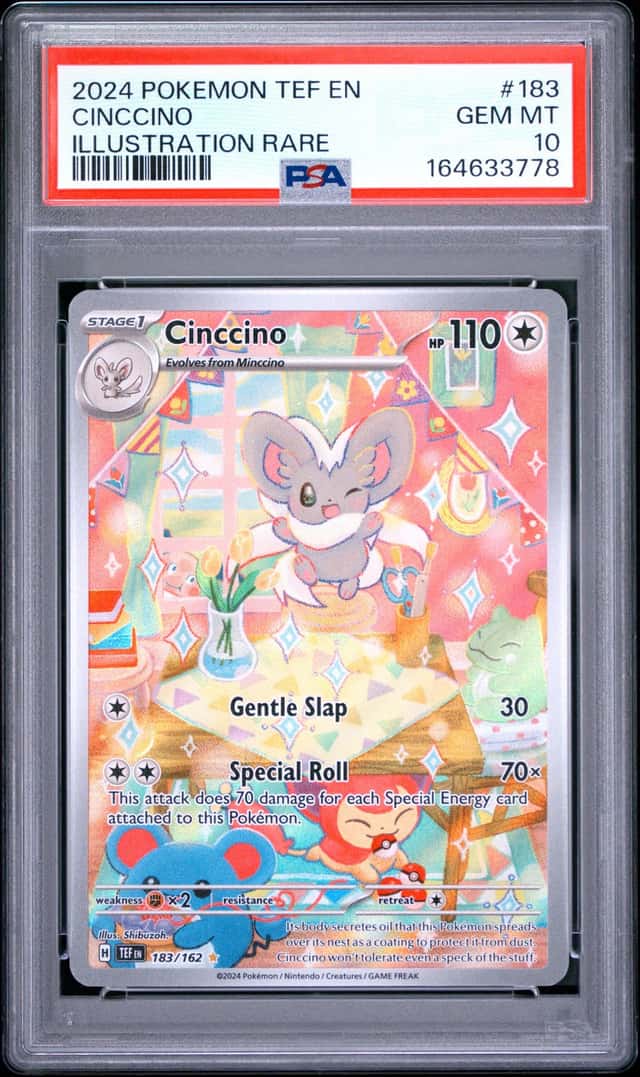 Cinccino