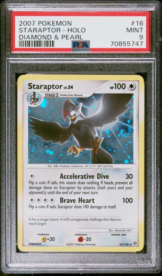 Staraptor