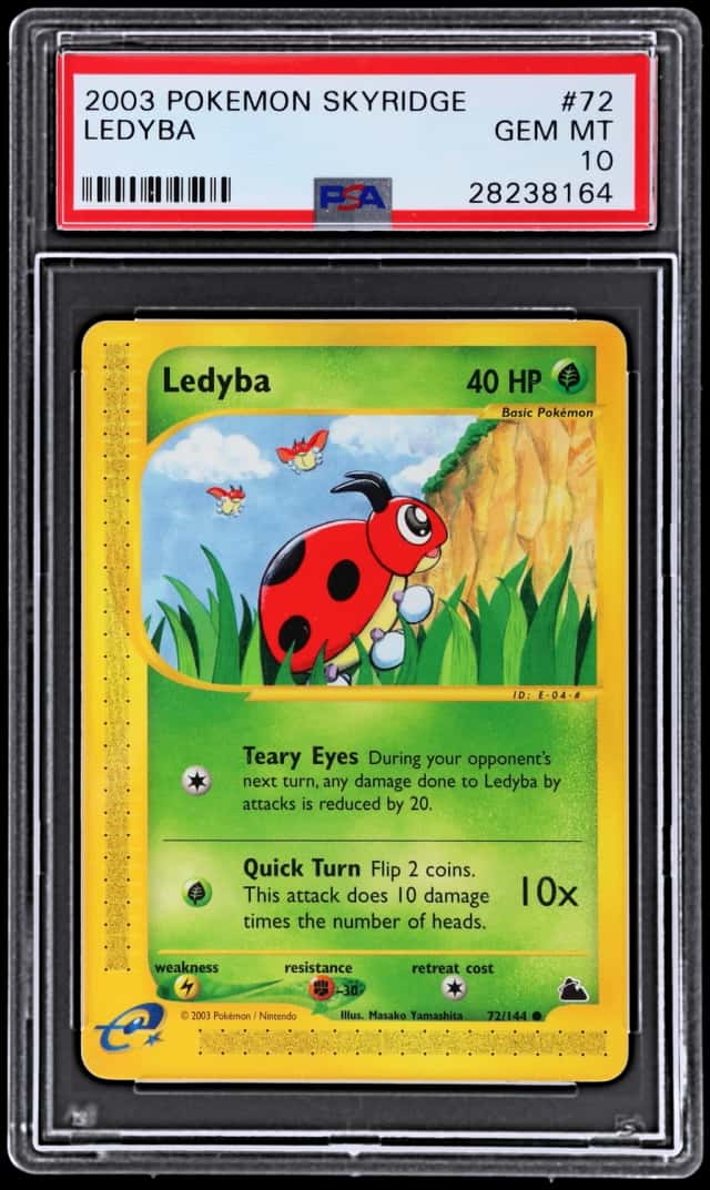 Ledyba