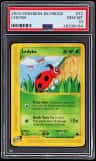 Ledyba