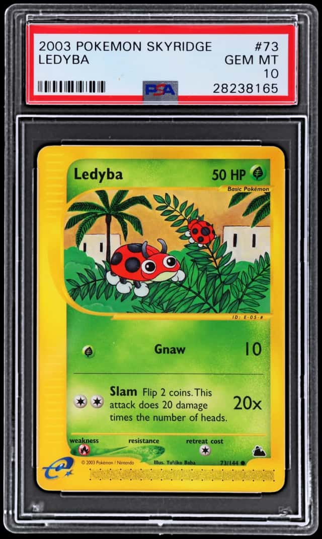 Ledyba