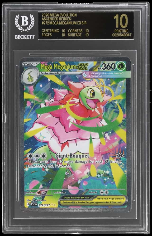 MEGA MEGANIUM ex