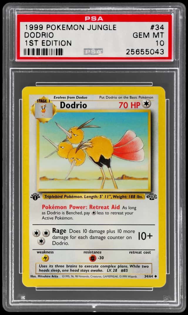Dodrio