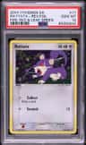 Rattata