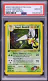 Koga'S Beedrill