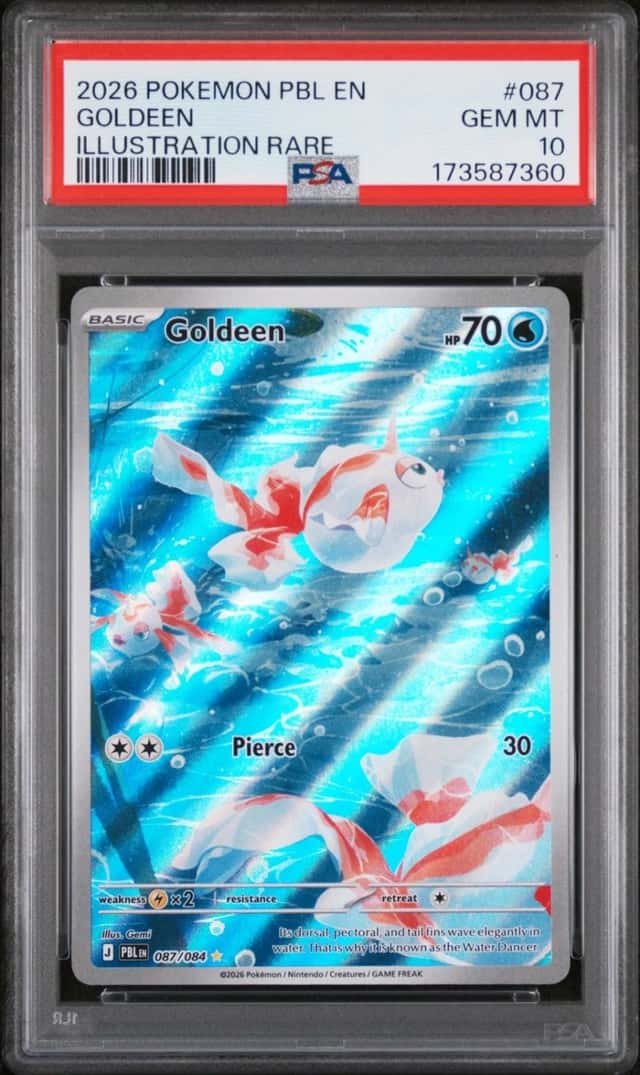 Goldeen
