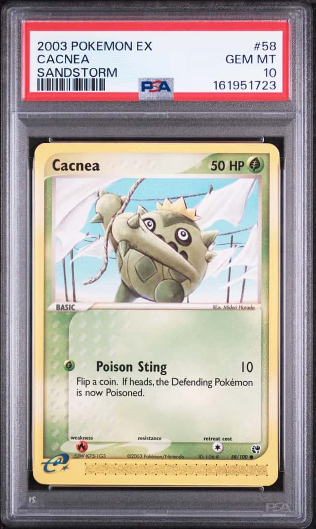 Cacnea