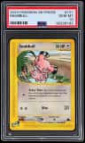 Snubbull