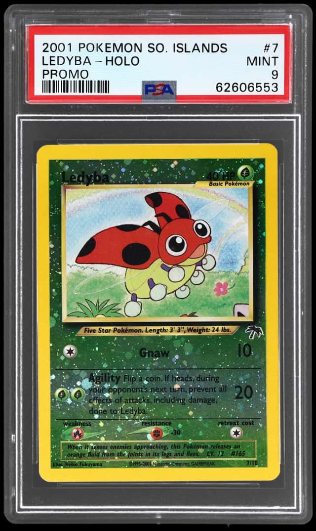 Ledyba