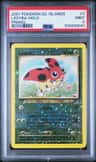 Ledyba