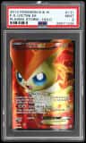 Victini Ex