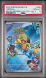Turtwig