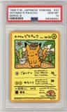 Ooyama'S Pikachu