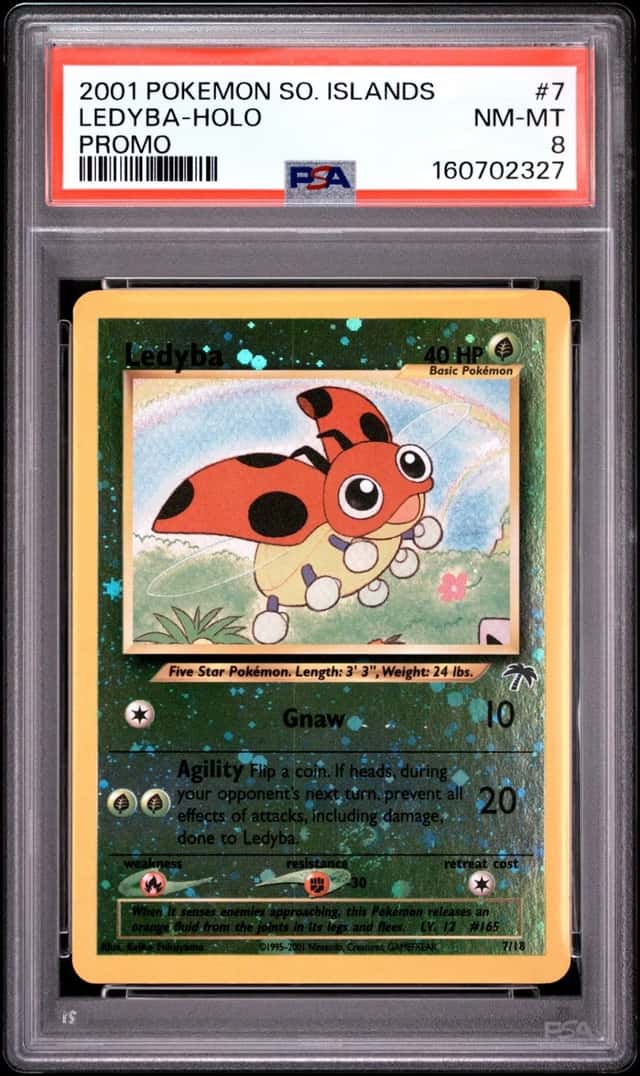 Ledyba