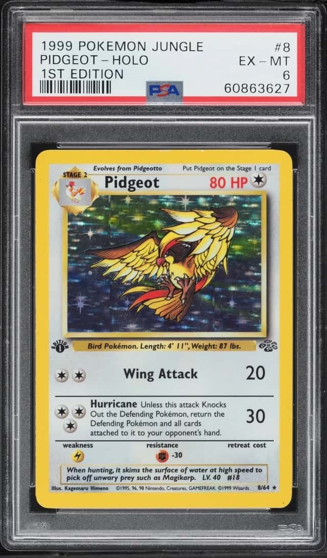 Pidgeot