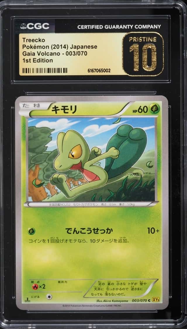Treecko
