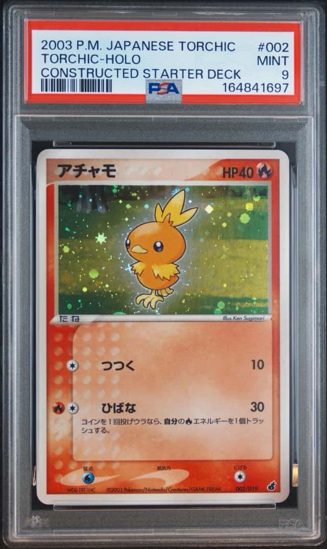 Torchic