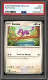 Rattata