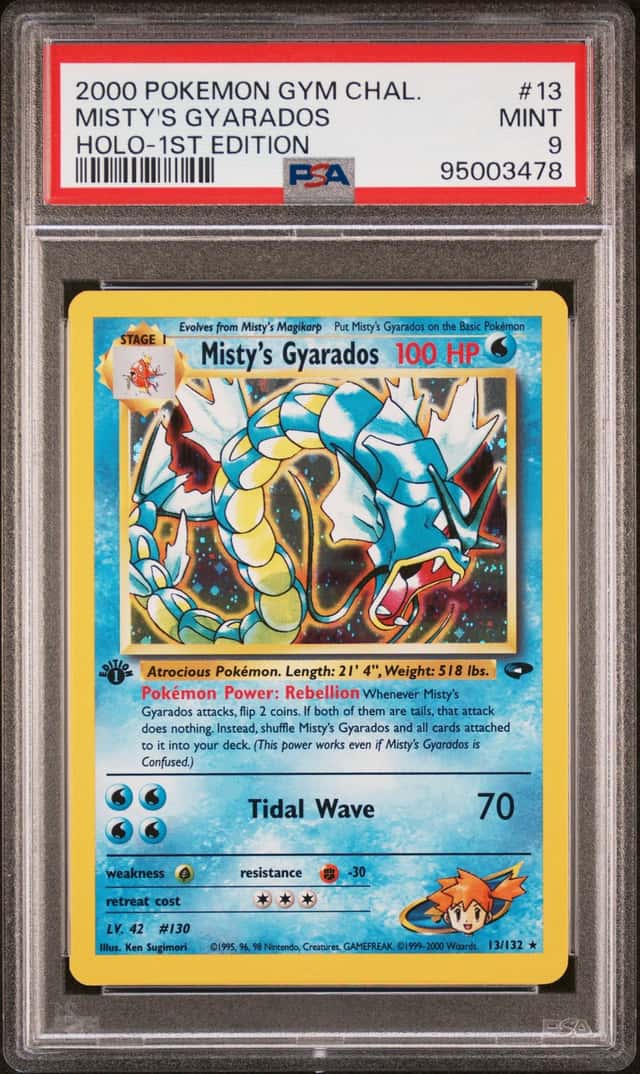 Misty's Gyarados